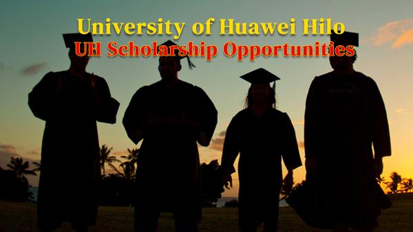 University of Huawei Hilo Scholarships