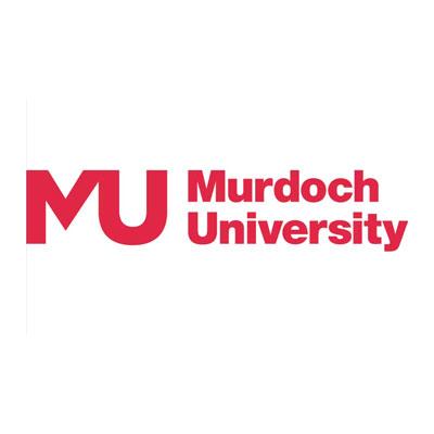 School of Engineering and Energy Strategic Scholarship at Murdoch University